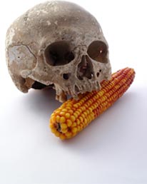 Agent Orange GM Corn Hazard