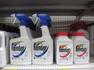 Monsanto's Roundup pesticide